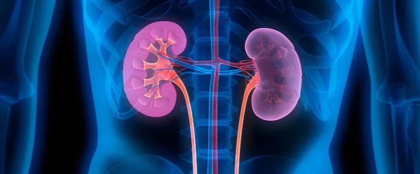 Przewiane nerki objawy – jak rozpoznać i uniknąć powikłań